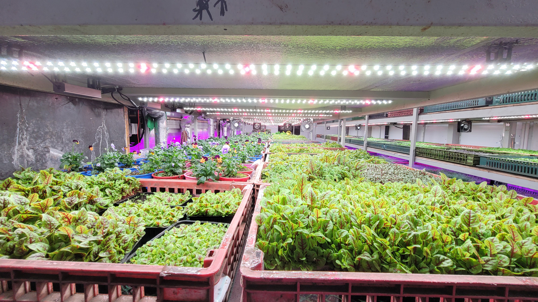 abt-img-2
